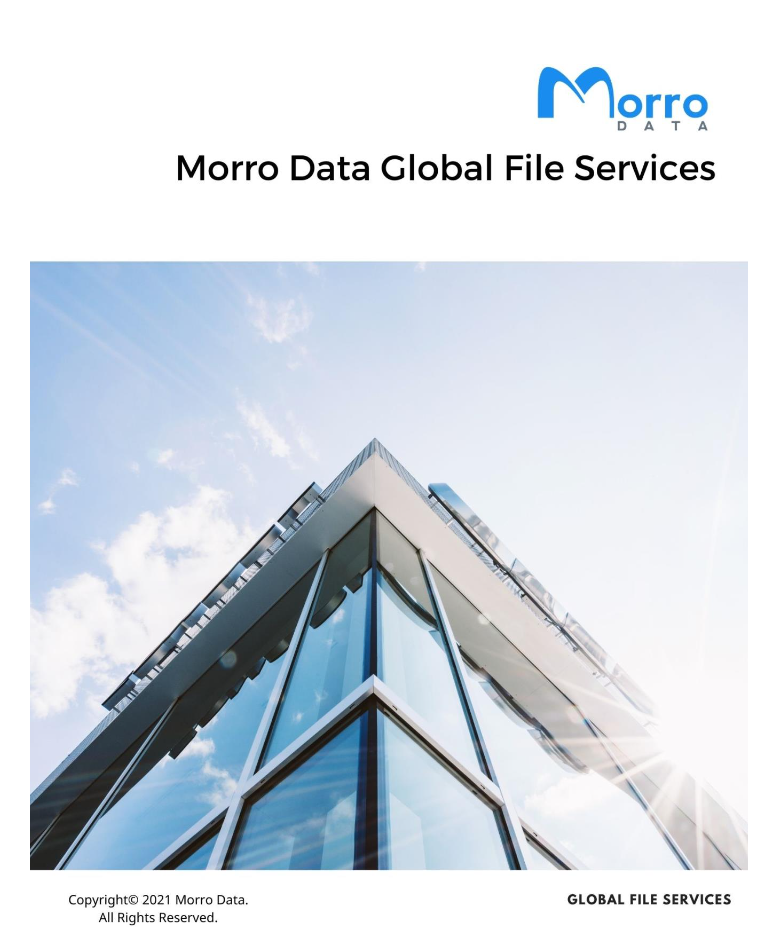 Morro Data Global File Services