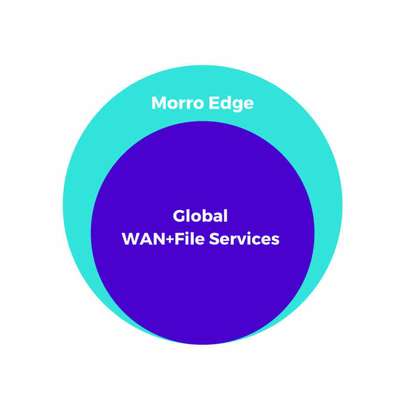 WAN Services