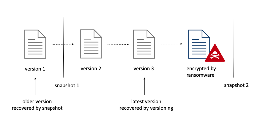 File Versioning and Snapshots