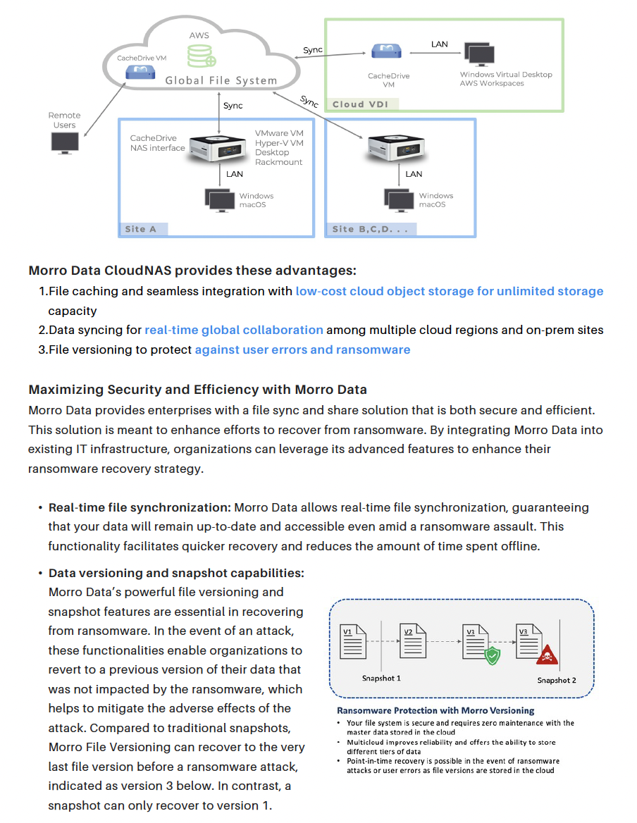 Cloud VDI and Morro Data solution overview